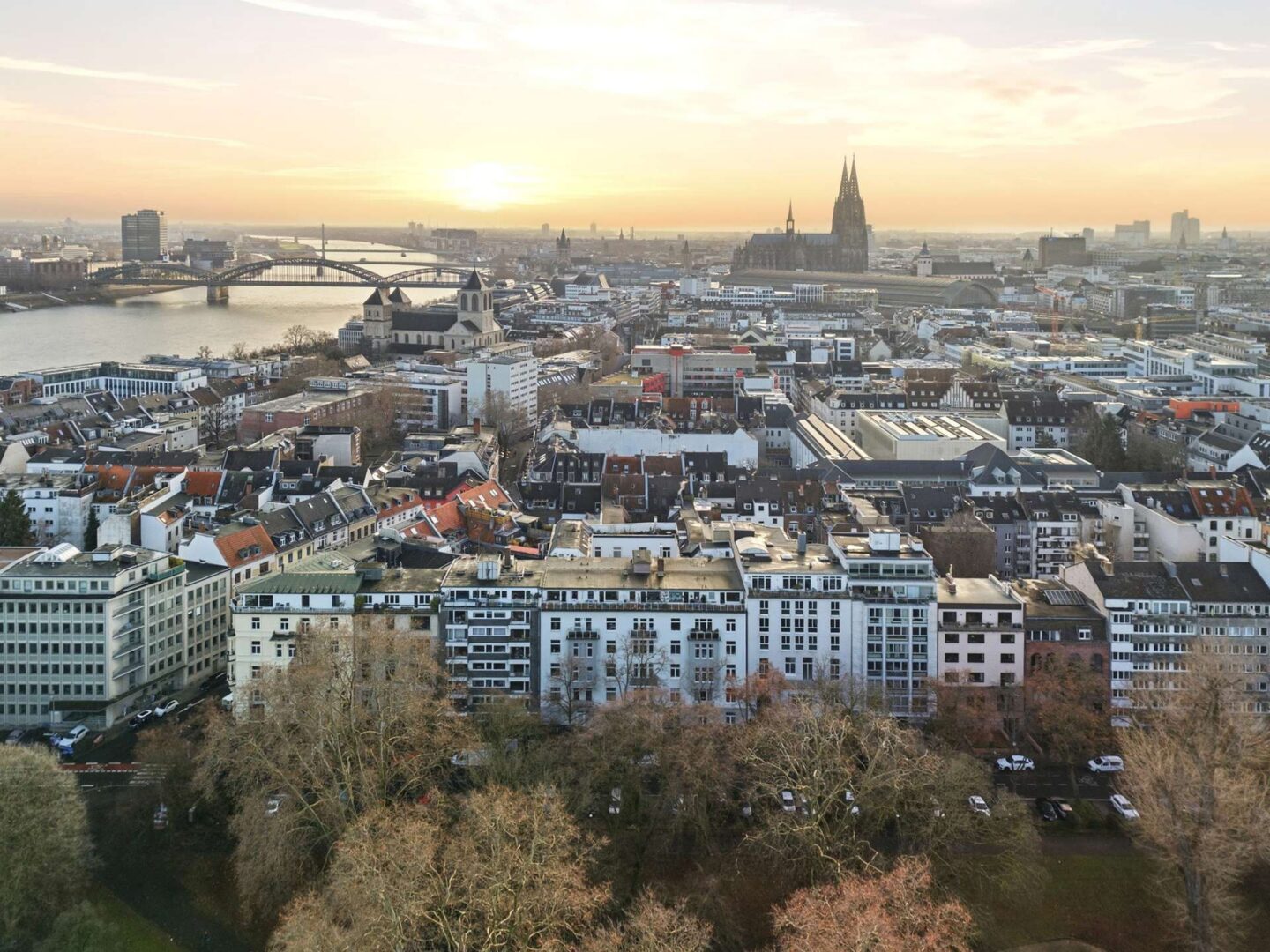 Domblick